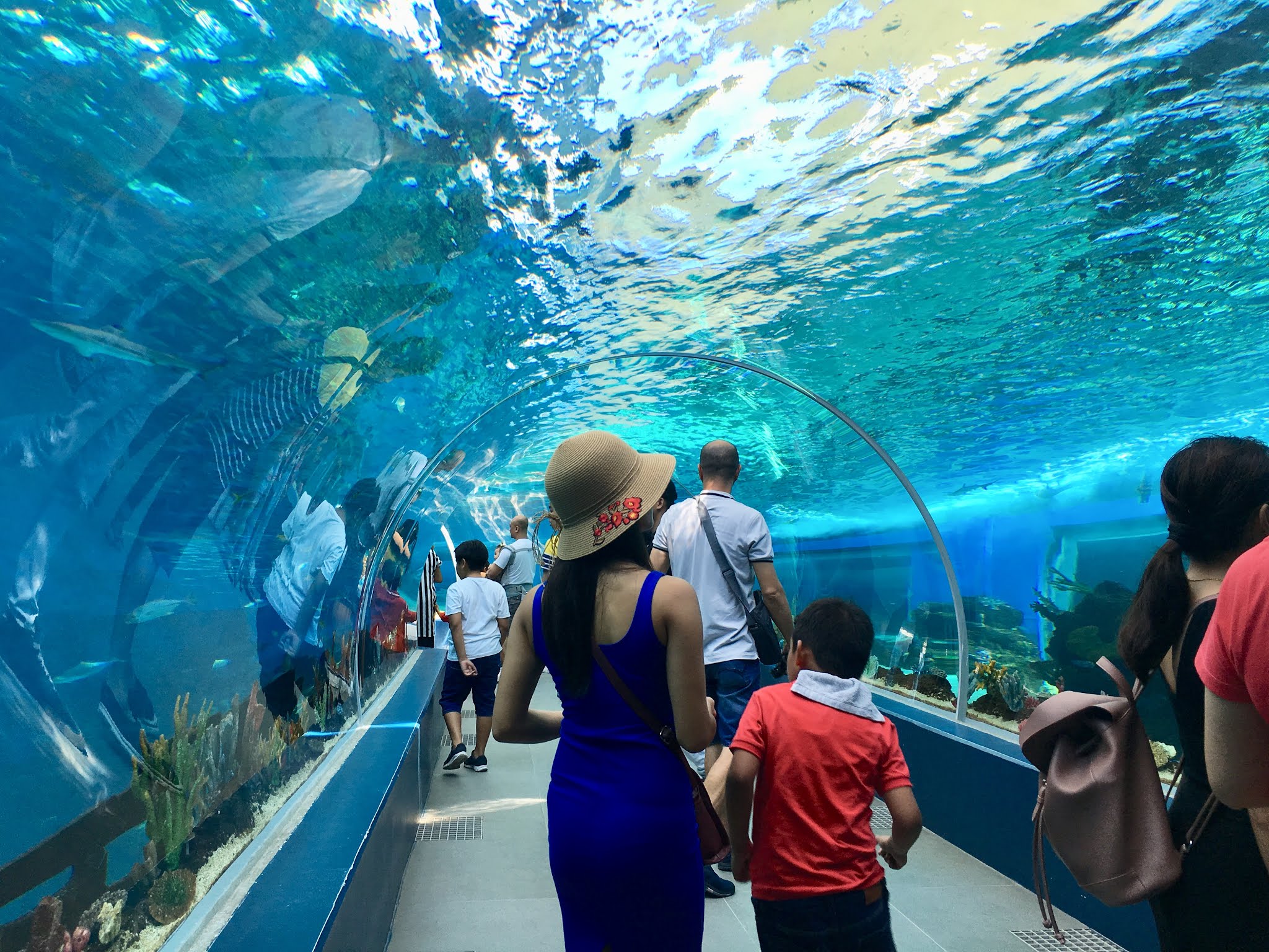 Cebu Ocean Park at SM Seaside Complex